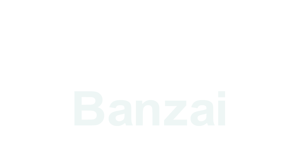 Honda Banzai